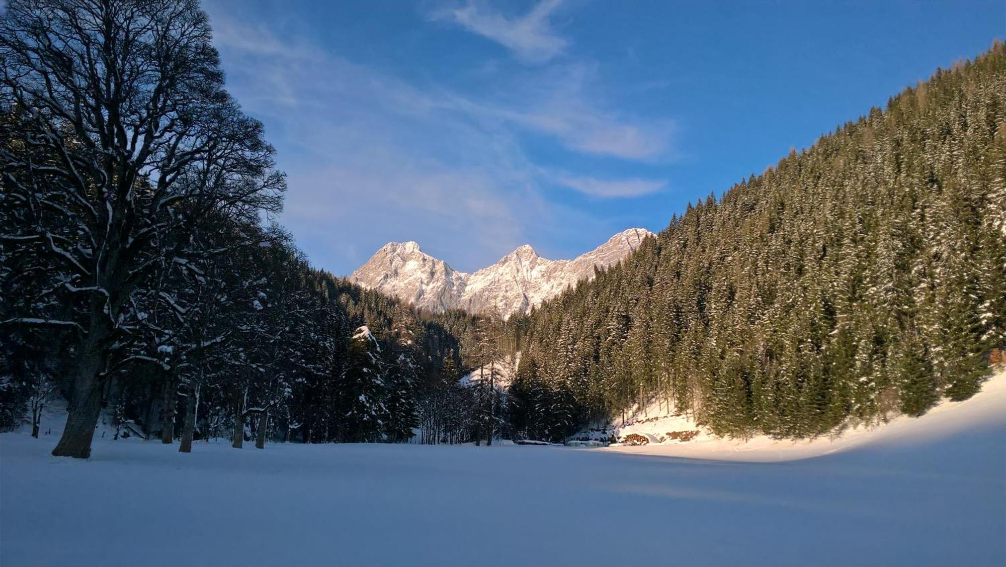 Alpenrose Boutique Chalet Gretl Ramsau am Dachstein Exterior photo
